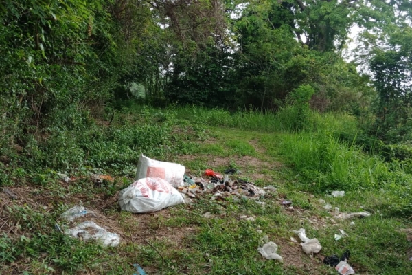 Kontraktor Developer